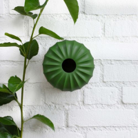 cactus vogel- en voederhuisje